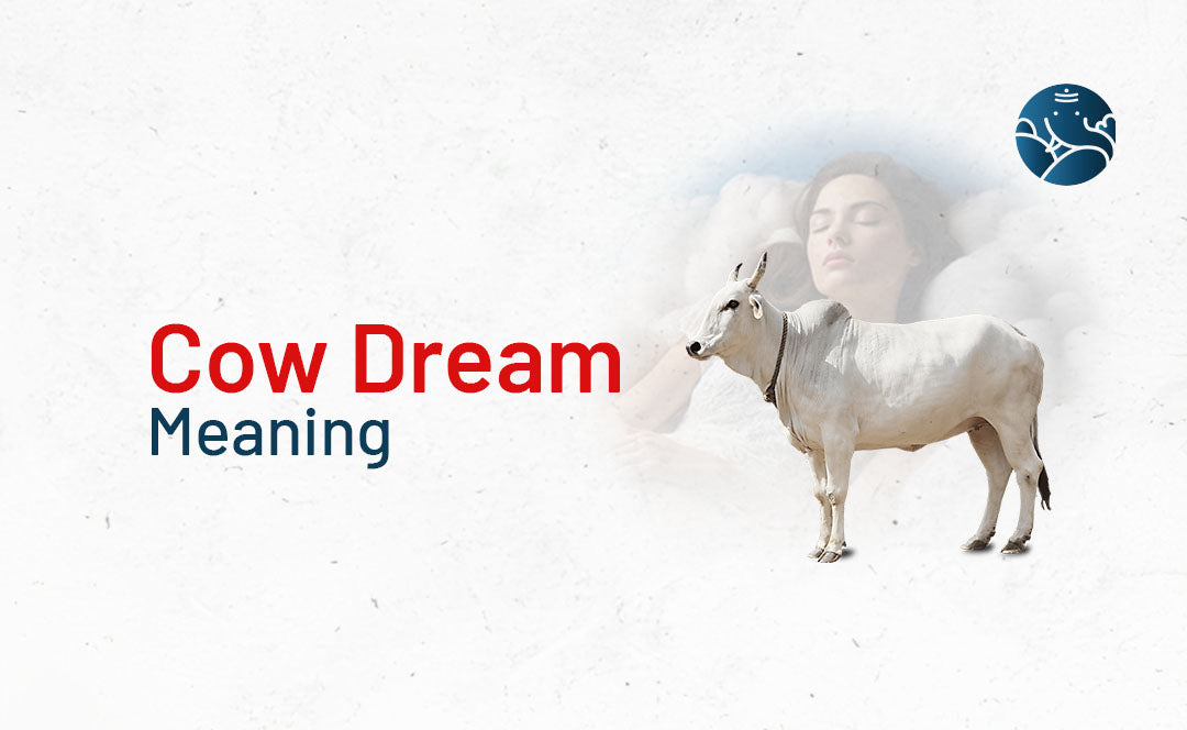 Cow Dream Meaning - White, Black, and Brown Cow in Dream
