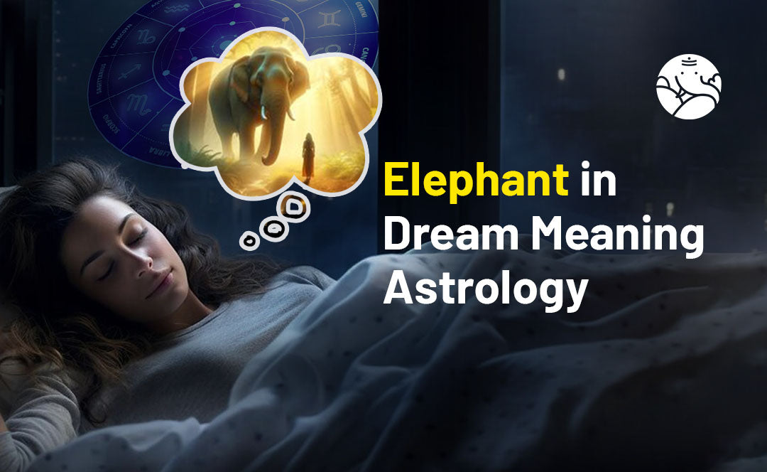 Elephant In Dream Meaning Astrology Bejan Daruwalla