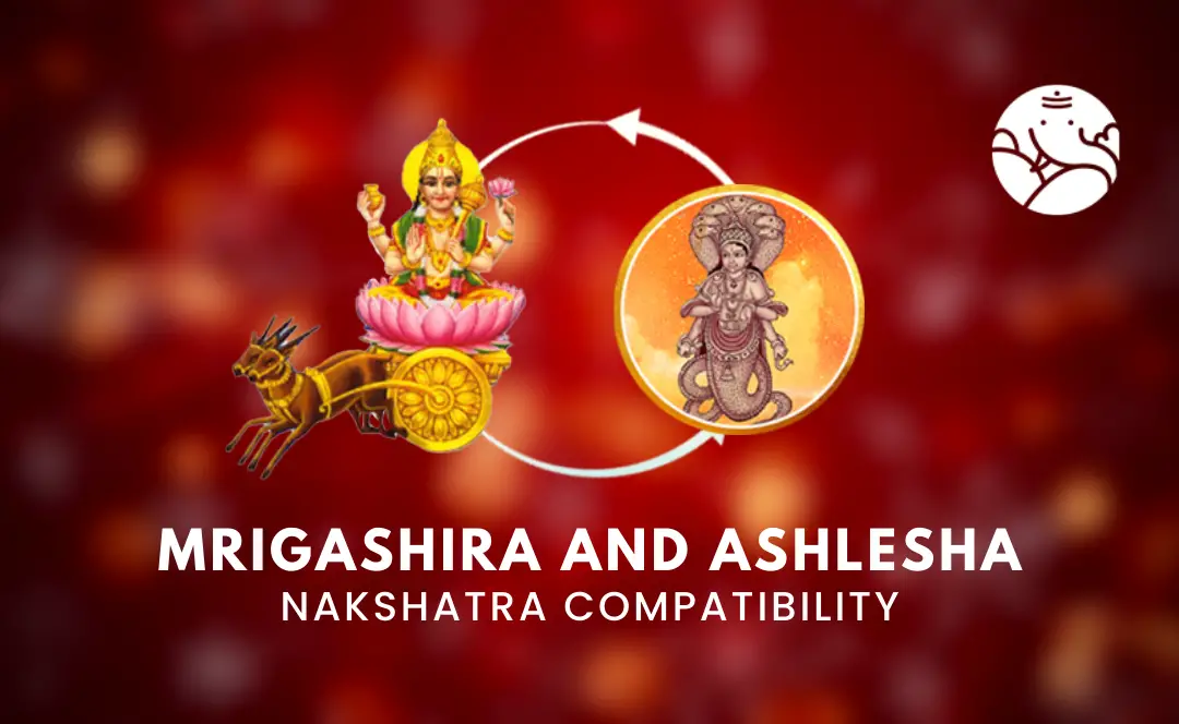 Mrigashira And Ashlesha Nakshatra Compatibility – Bejan Daruwalla