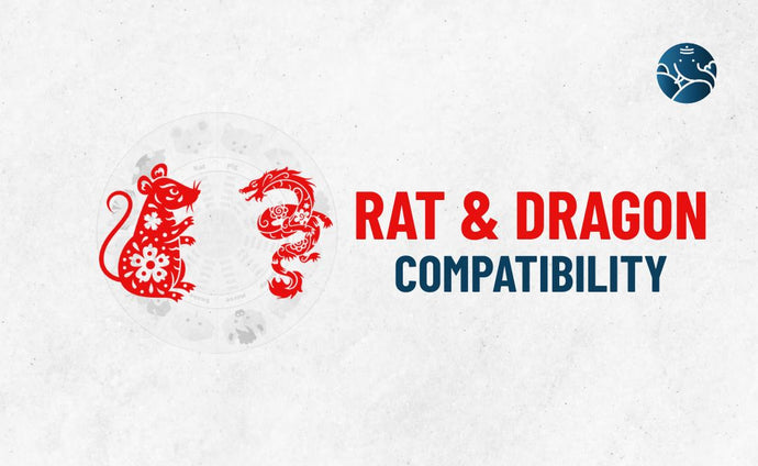 Rat and Dragon Compatibility - Rat Dragon compatibility