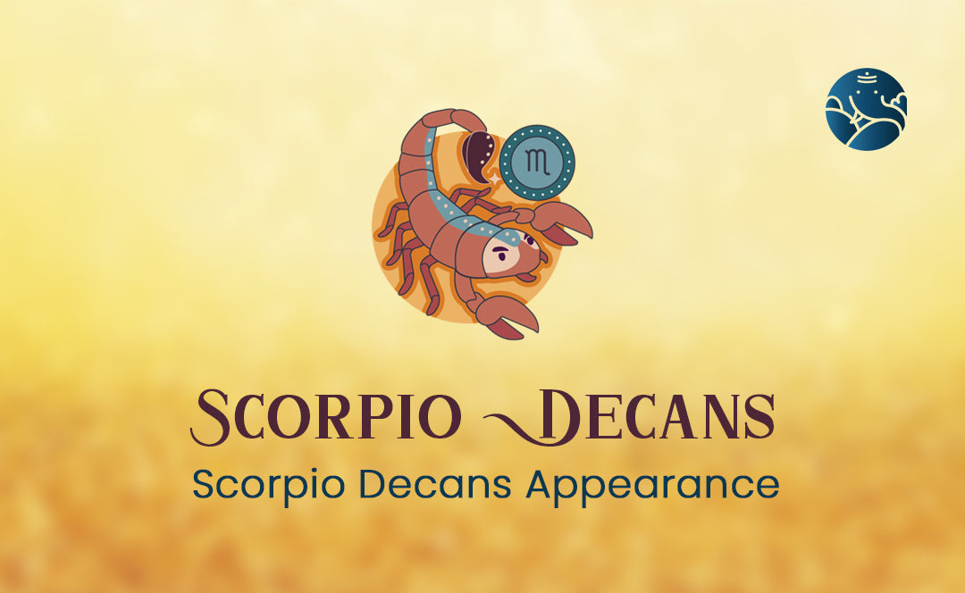 Scorpio Decans Discovering Appearance and Types
