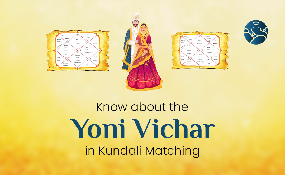 Yoni Vichar in Kundali Matching - Astrological Guide