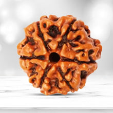 Rudraksha