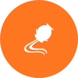 Icon Image