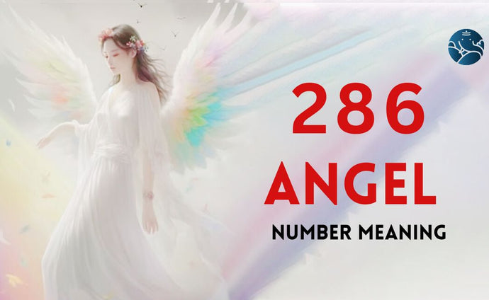 286 Angel Number Meaning, Love, Marriage, Career, Health, and Finance