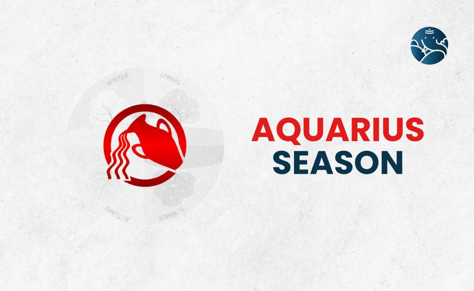Aquarius Season - What Day Starts?