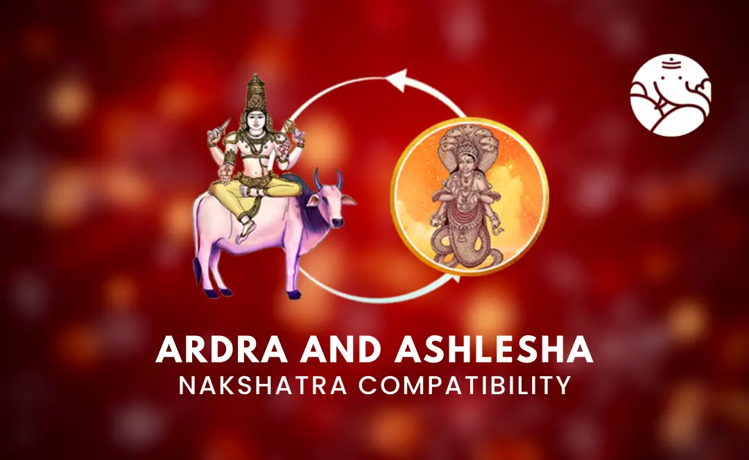 Ardra and Ashlesha Nakshatra Compatibility