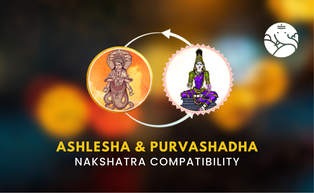 Ashlesha and Purvashadha Nakshatra Compatibility
