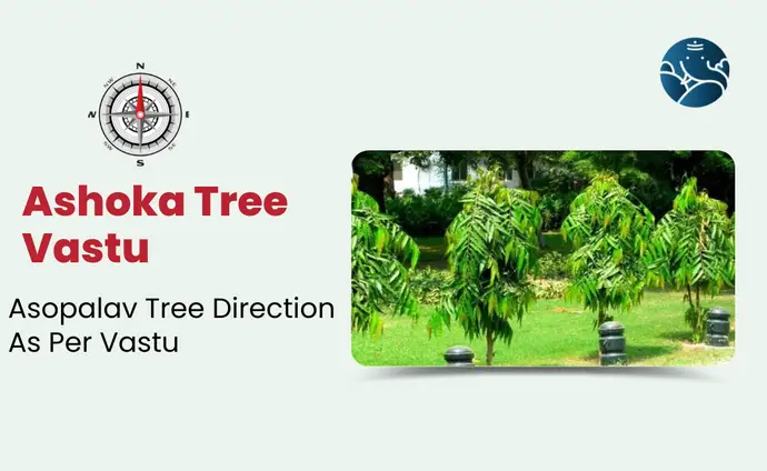 Ashoka Tree Vastu: Asopalav Tree Direction As Per Vastu