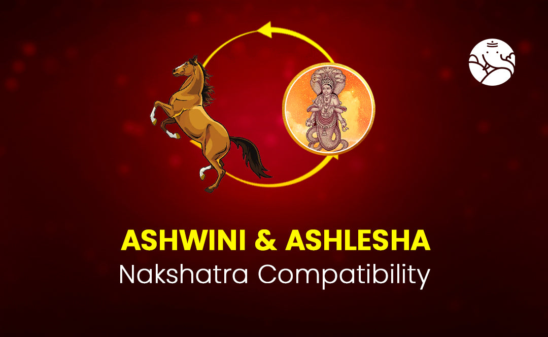 Ashwini and Ashlesha Nakshatra Compatibility