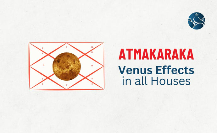 Atmakaraka Venus Effects in all Houses