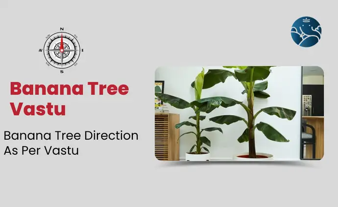 Banana Tree Vastu: Banana Tree Direction As Per Vastu