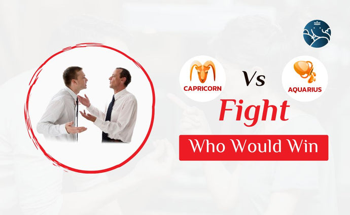 Capricorn vs Aquarius Fight Who Would Win