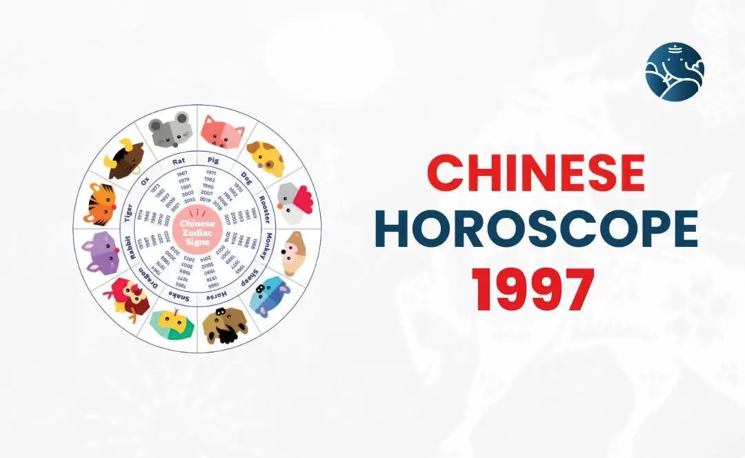 Chinese Horoscope 1997 - 1997 Zodiac Chinese