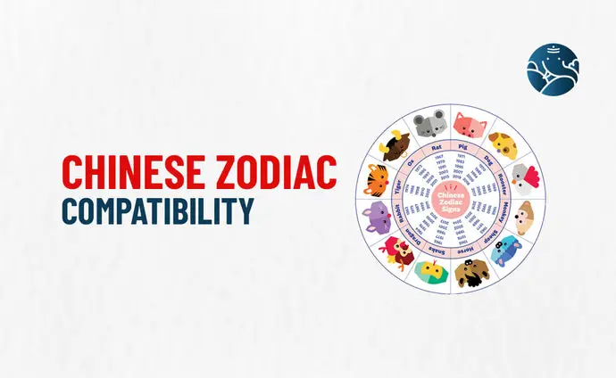 Chinese Zodiac Compatibility