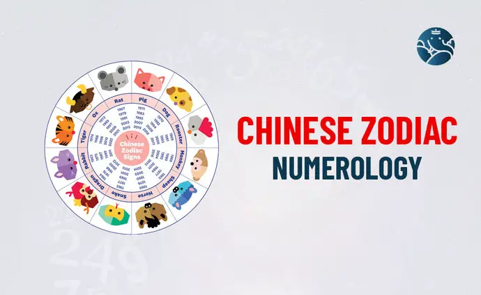 Chinese Zodiac Numerology