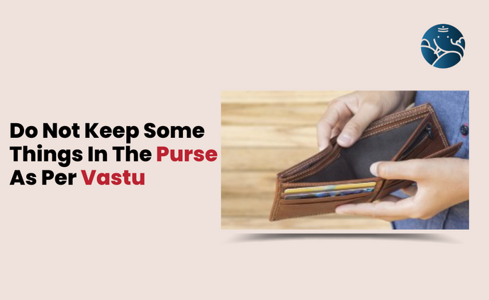 Do Not Keep Some Things In The Purse As Per Vastu