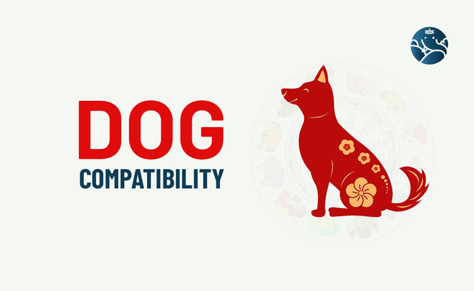 Dog Compatibility - Dog Best Match