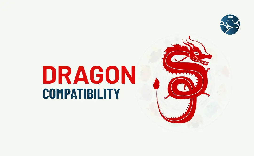 Dragon Compatibility - Dragon Best Match