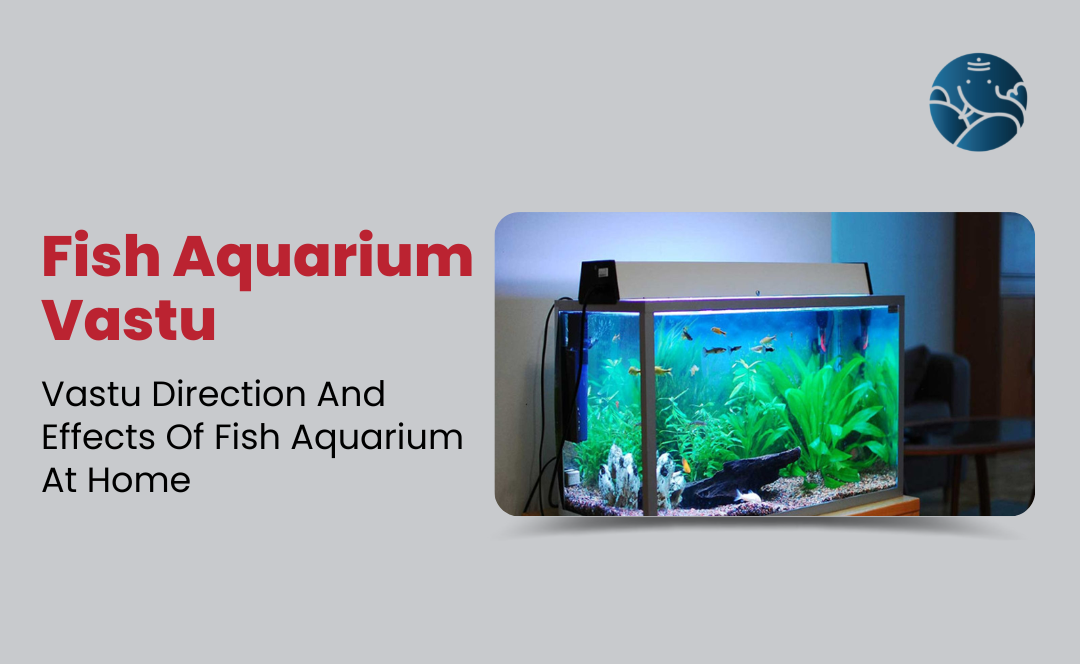 Fish Aquarium Vastu: Aquarium Position As Per Vastu
