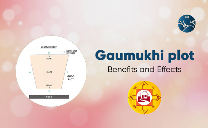 Gaumukhi Plot Benefits And Effects