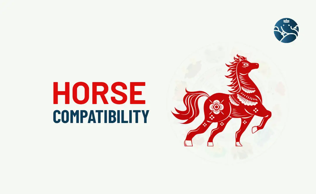 Horse Compatibility - Horse Best Match