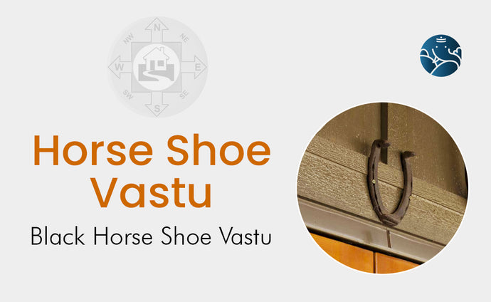 Horse Shoe Vastu: Black Horse Shoe Vastu