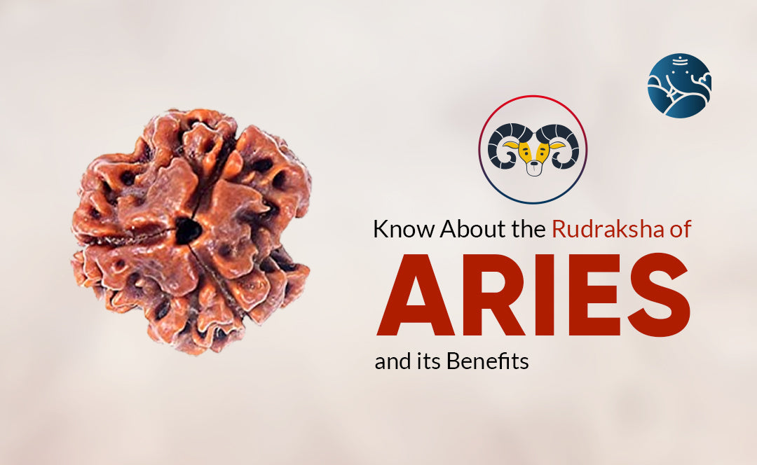 Know About the Rudraksha of Aries and its Benefits