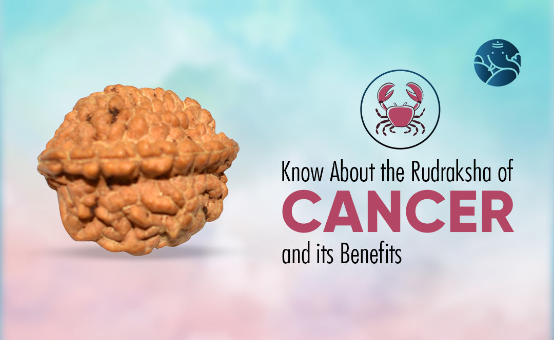 Know About the Rudraksha of Cancer and its Benefits