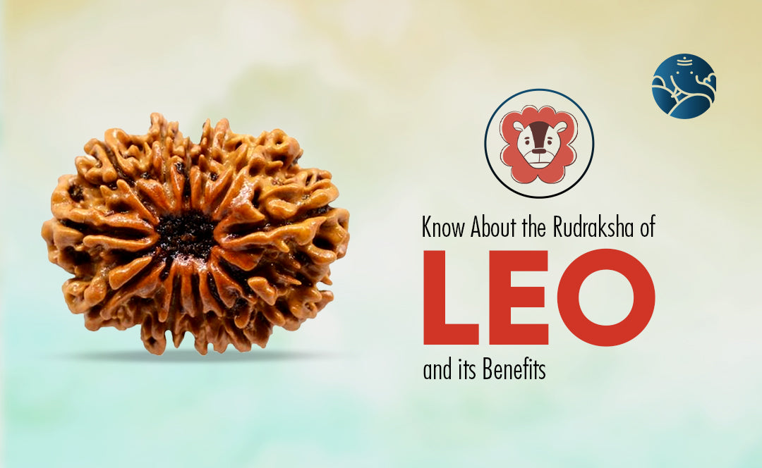 Know About the Rudraksha of Leo and its Benefits