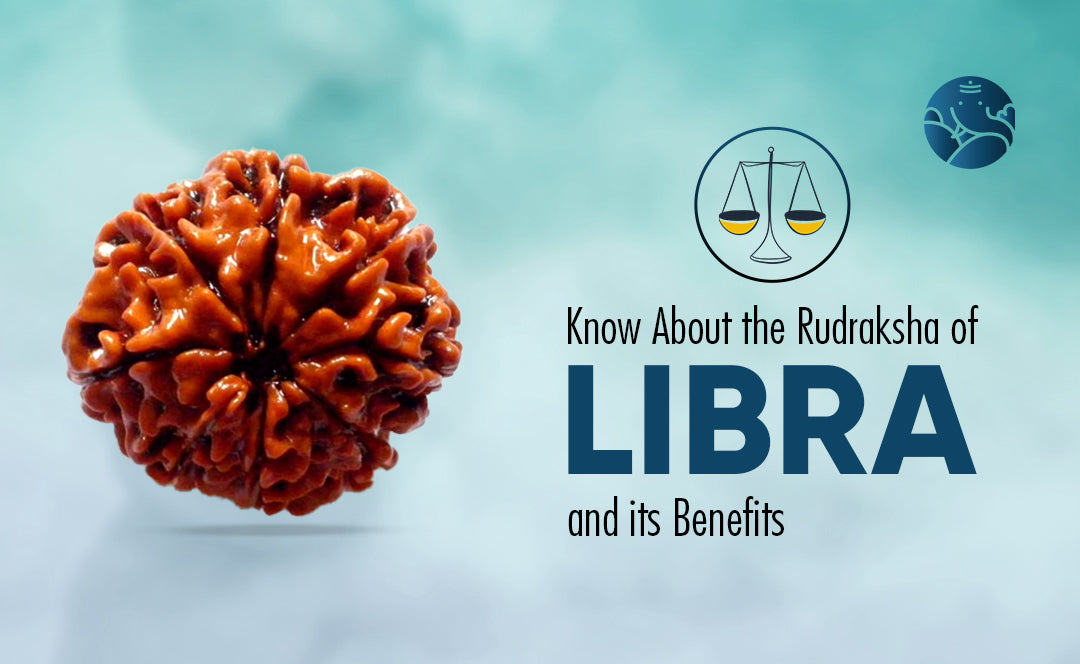 Know About the Rudraksha of Libra and its Benefits