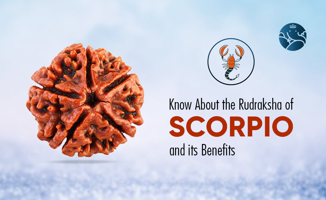 Know About the Rudraksha of Scorpio and its Benefits