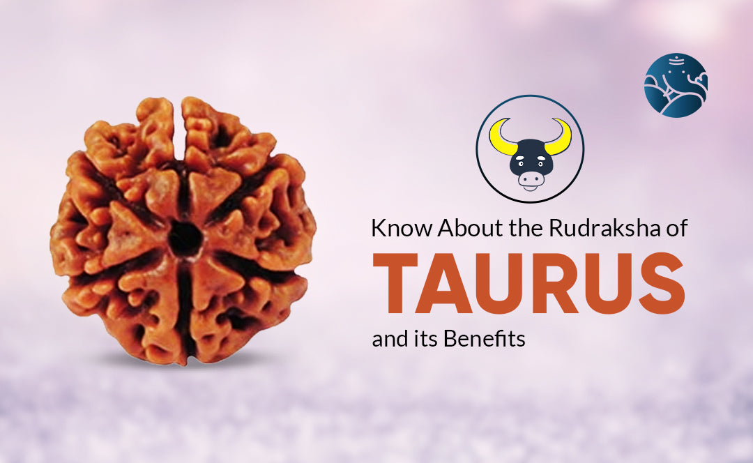Know About the Rudraksha of Taurus and its Benefits