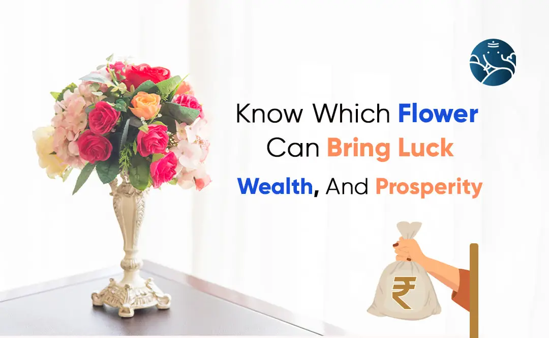 Know Which Flower Can Bring Luck, Wealth, And Prosperity