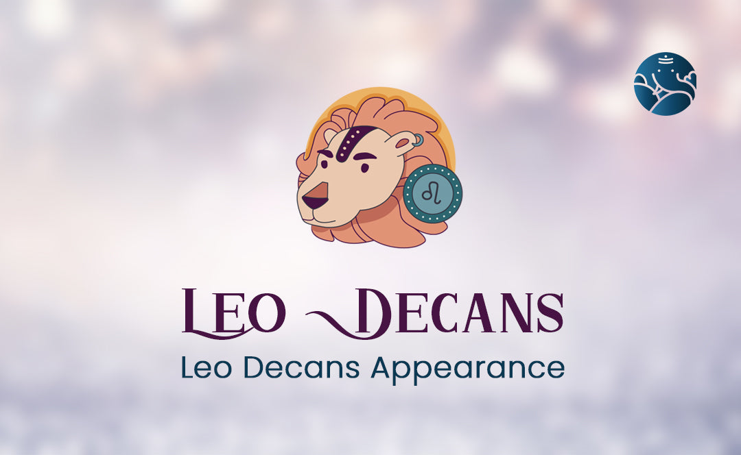 Leo Decans: Leo Decans Appearance
