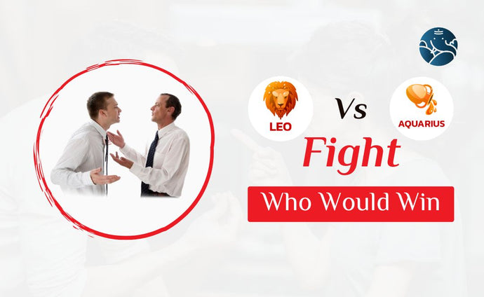 Leo Vs Aquarius Fight Who Would Win