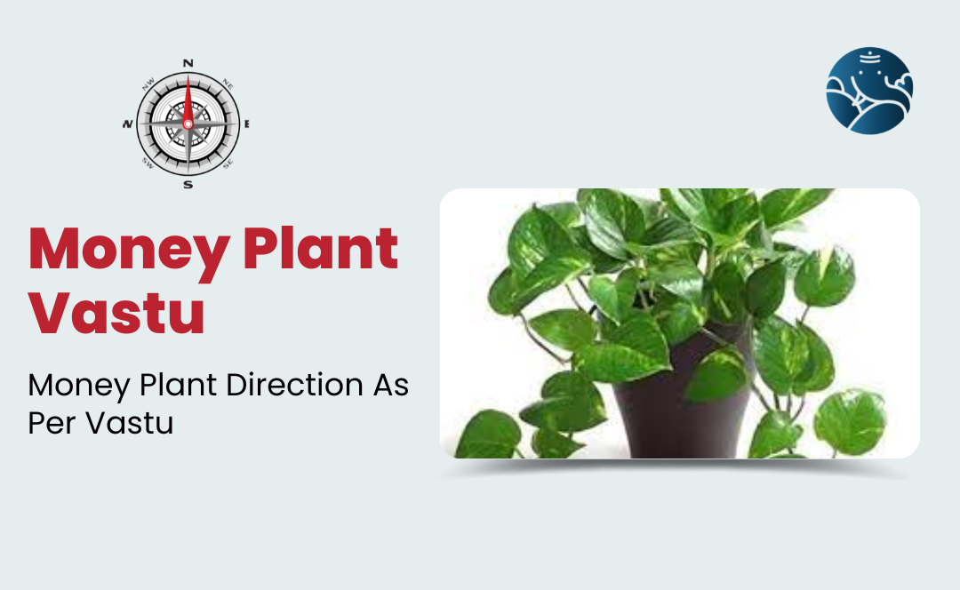 Best Money Plant Vastu Direction