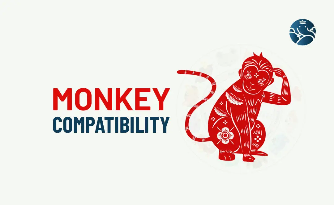 Monkey Compatibility - Monkey Best Match