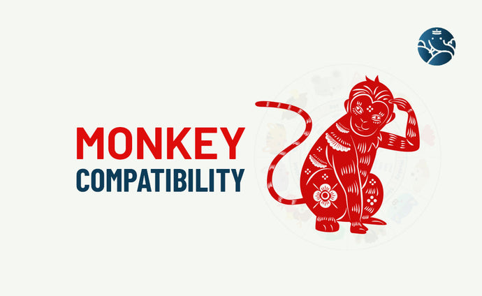 Monkey Compatibility - Monkey Best Match