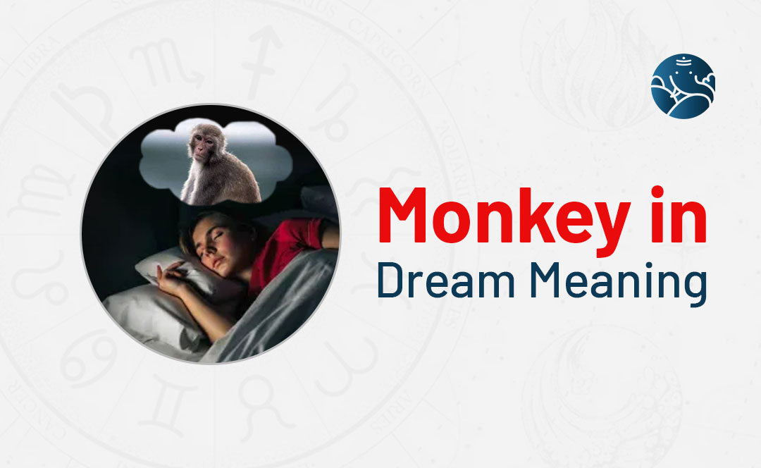 Monkey In Dream Meaning