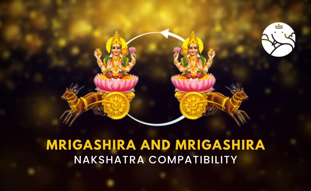 Mrigashira And Mrigashira Nakshatra Compatibility – Bejan Daruwalla