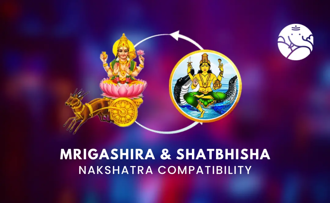 Mrigashira and Shatbhisha Nakshatra Compatibility