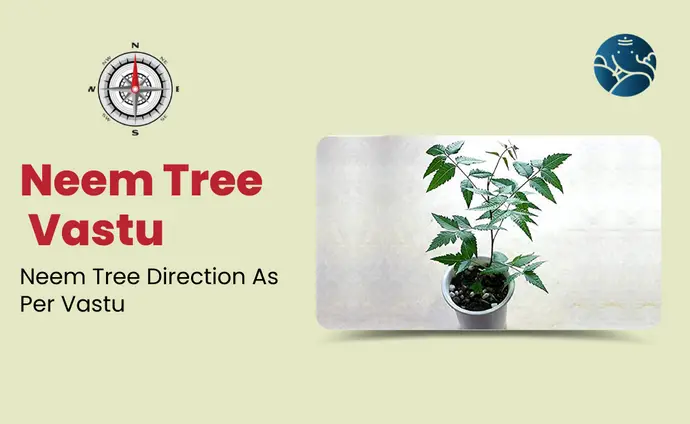 Neem Tree Vastu: Neem Tree Direction As Per Vastu