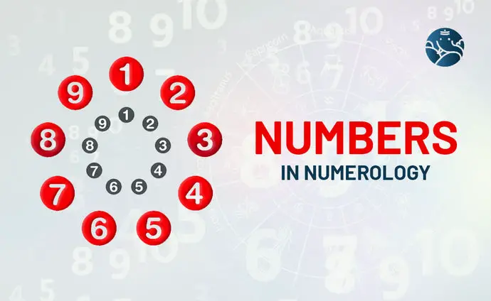 Numerology Number - Numbers in Numerology