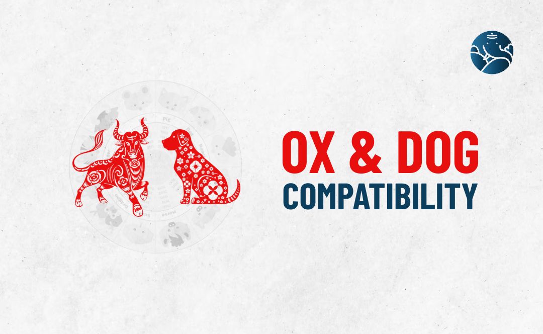 Ox and Dog Compatibility - Ox Dog compatibility