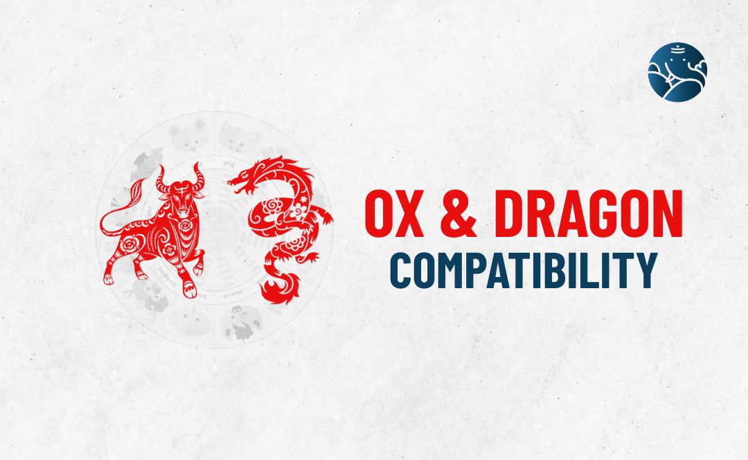 Ox and Dragon Compatibility - Ox Dragon compatibility