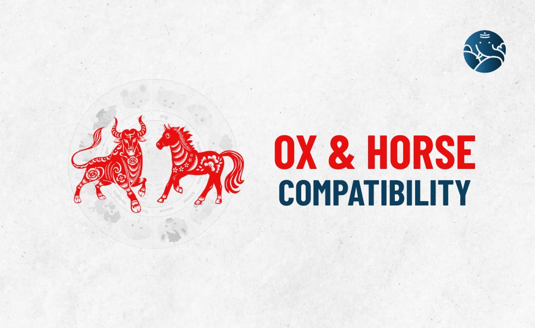 Ox and Horse Compatibility - Ox Horse compatibility