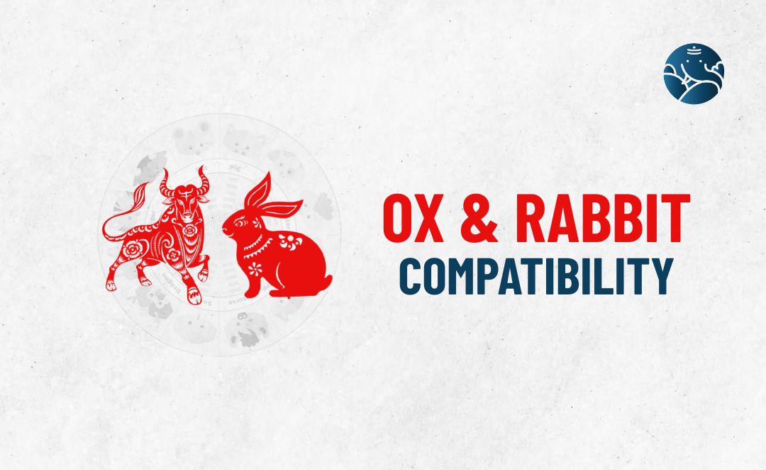 Oxima Rabbit Ox and Rabbit Compatibility - Ox Rabbit compatibility