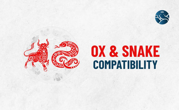 Ox and Snake Compatibility - Ox Snake compatibility