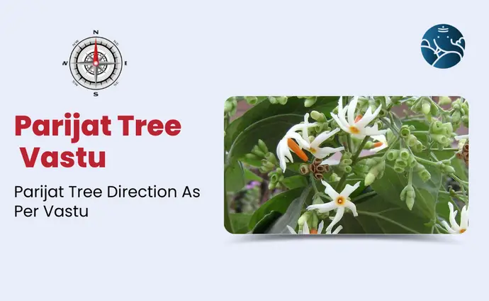 Parijat Tree Vastu: Direction Of Parijat Tree As Per Vastu